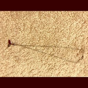 Dolphin Tale Necklace